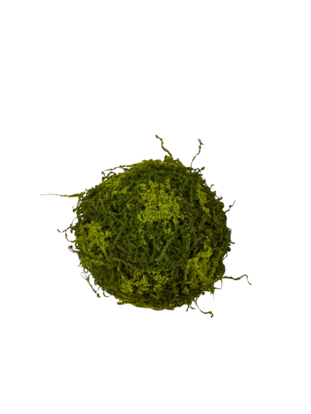 10" Moss Ball