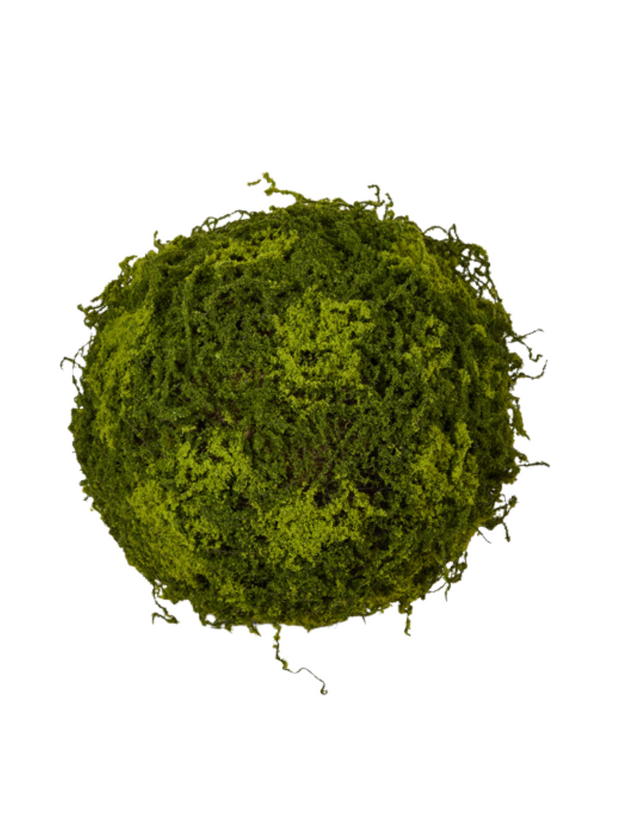 12" Moss Ball