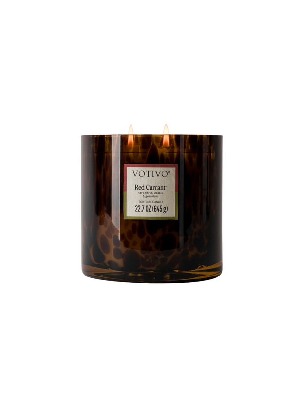 Tortoise 2 Wick Candle