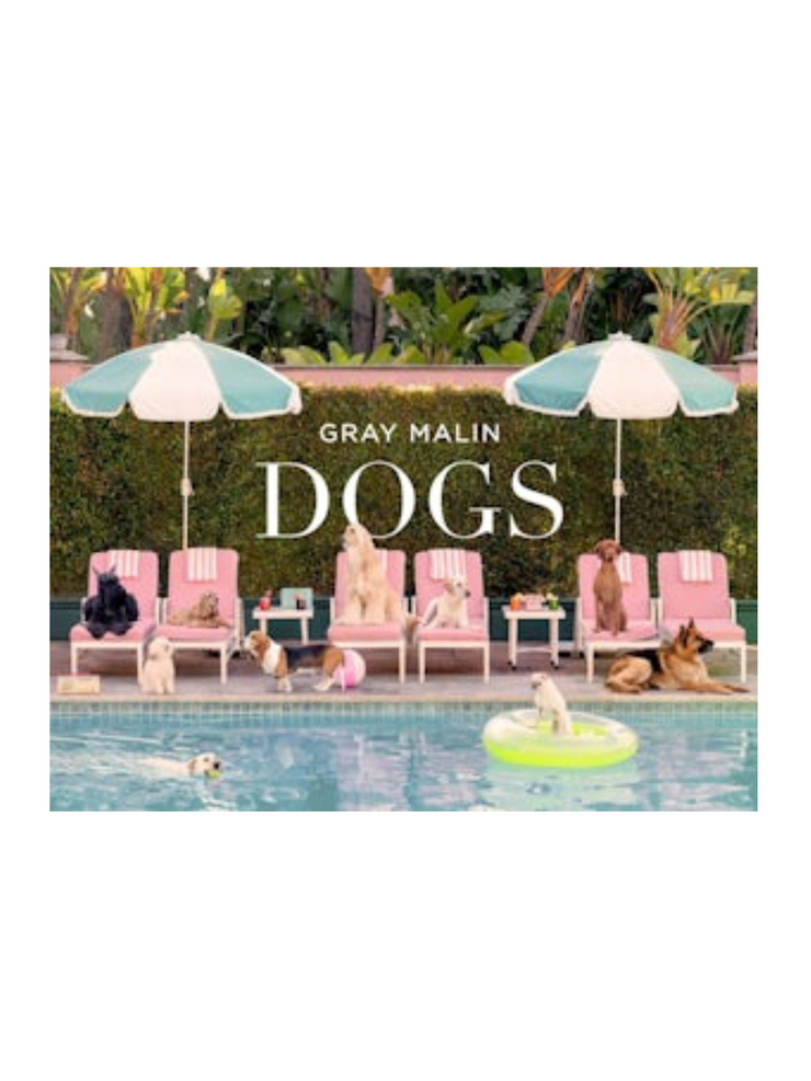 Gray Malin: Dogs