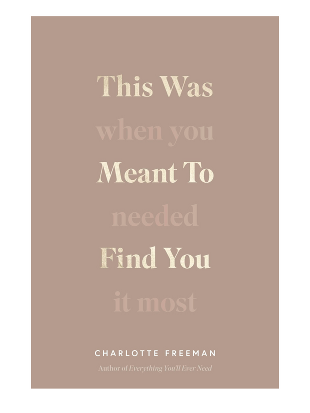 This Was Meant To Find You (When You Needed It Most) - book