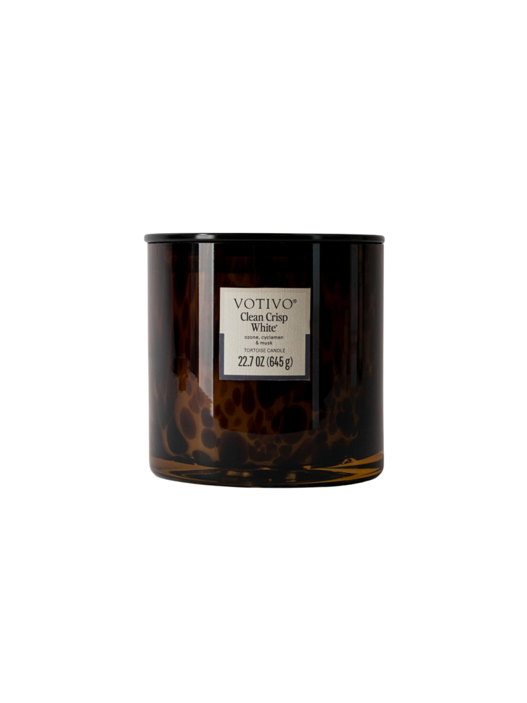 Tortoise 2 Wick Candle