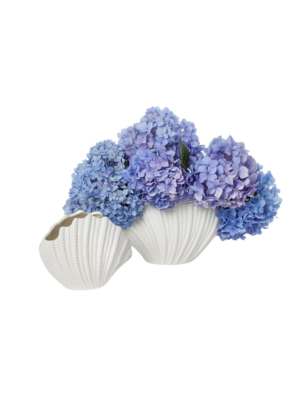 White Shell Vases (Set of 2)
