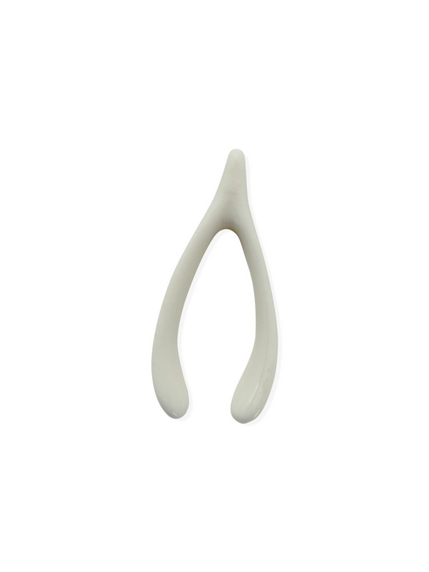 Wish Bone in Matchbox